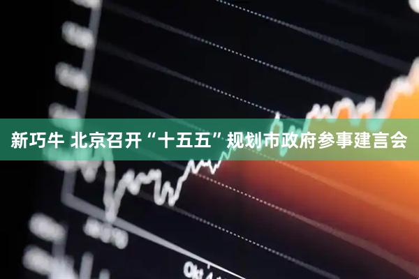 新巧牛 北京召开“十五五”规划市政府参事建言会