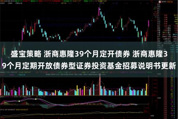盛宝策略 浙商惠隆39个月定开债券 浙商惠隆39个月定期开放债券型证券投资基金招募说明书更新