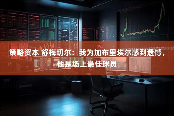 策略资本 舒梅切尔：我为加布里埃尔感到遗憾，他是场上最佳球员