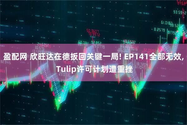 盈配网 欣旺达在德扳回关键一局! EP141全部无效, Tulip许可计划遭重挫